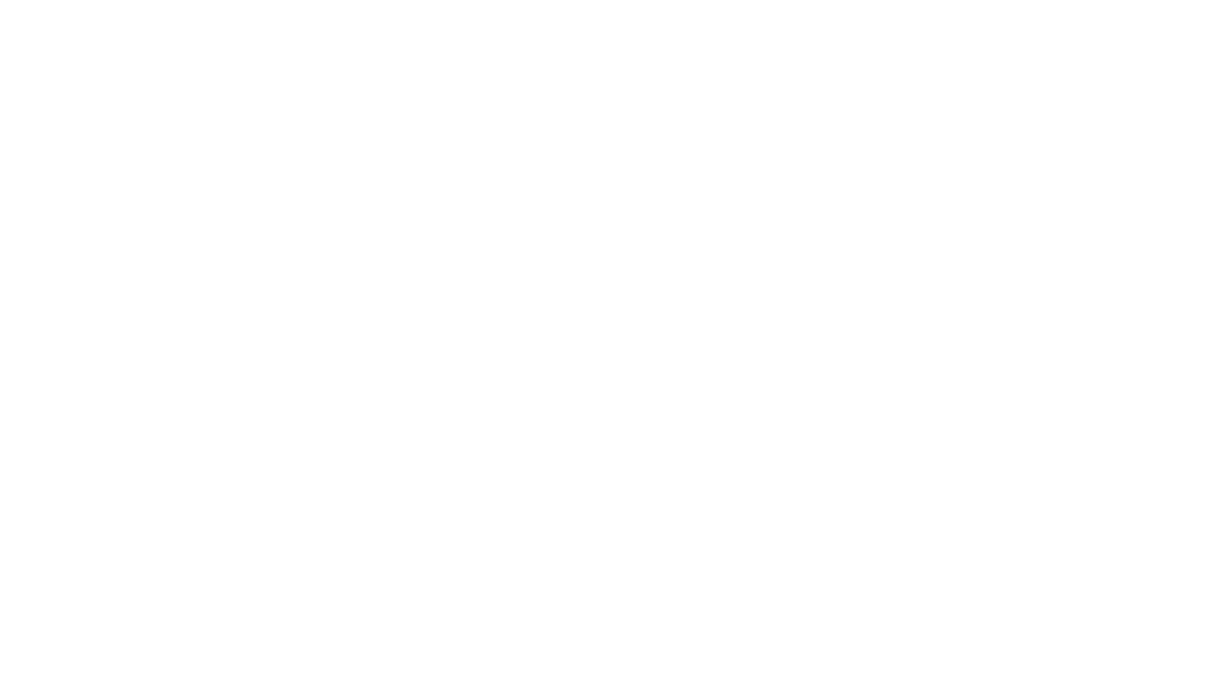 aimo valio logo